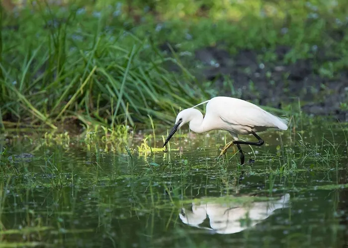 Prázdninový dům Gemenc Vendeghaz Baja