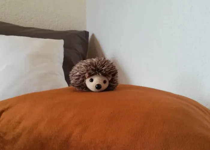 Gemenc Vendeghaz * Baja